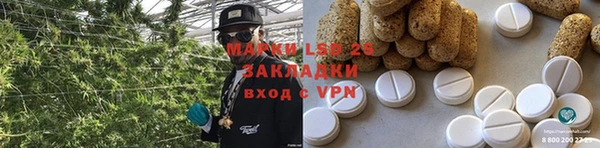 ешки Аркадак