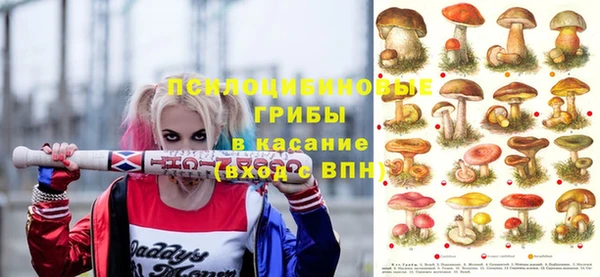 ешки Аркадак