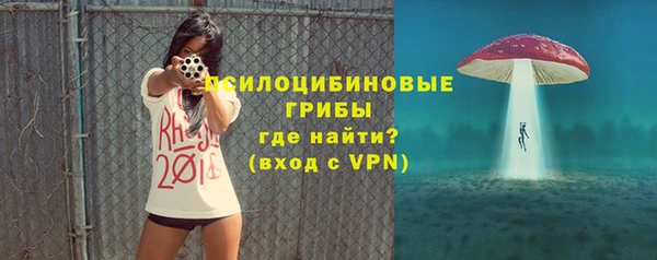 ешки Аркадак