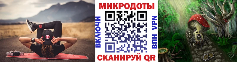 МЕГА как зайти  Тара  Галлюциногенные грибы Psilocybe 