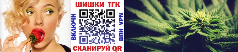 где купить наркотик  Тара  Конопля марихуана 